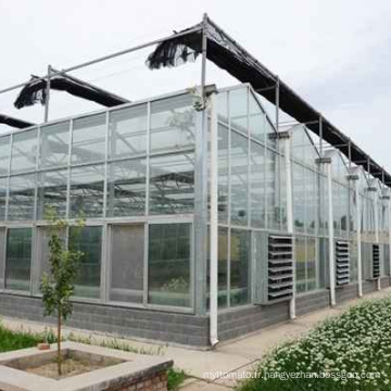 plantation de serre en verre agricole de tomate